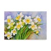 Trademark Fine Art Joanne Porter 'Daffodil Cluster' Canvas Art, 30x47 ALI30381-C3047GG